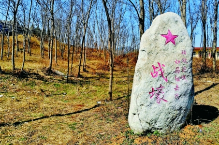 杜马战役共歼敌3700多人