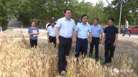永济市委书记调研“三夏”生产工作和重点项目建设推进情况