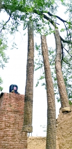 芮城汉唐竹林谷参展的竹笼被评为“中国民宿文化产业设计金奖”