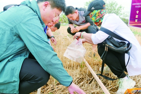 全国粮食机收减损技能大比武活动山西（盐湖）分赛区首场比赛开赛