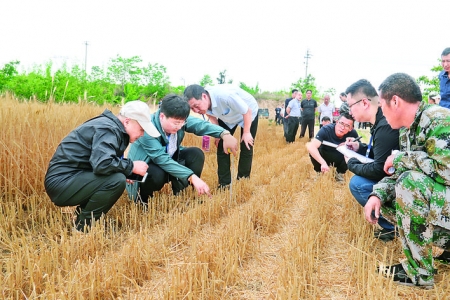 全国粮食机收减损技能大比武活动山西（盐湖）分赛区首场比赛开赛