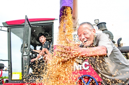 夏县禹王村小麦喜获丰收
