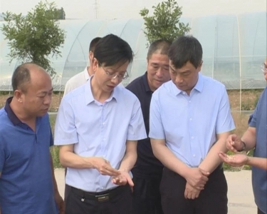 闻喜县长深入后宫乡调研夏收、设施农业、美丽乡村建设等工作