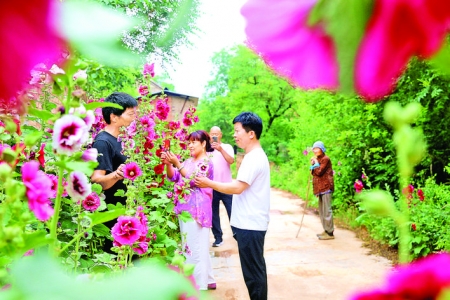 夏县瑶峰镇游人通过视频和图片形式展示现代新农村美景