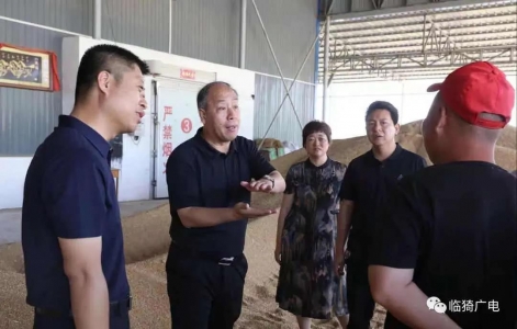 临猗县委副书记深入孙吉镇调研夏收、防汛工作及黄河一号旅游公路提升工程