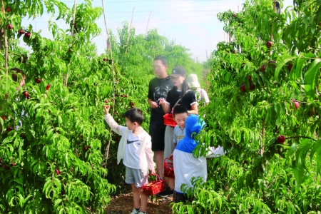 平陆风口桃花源主题公园