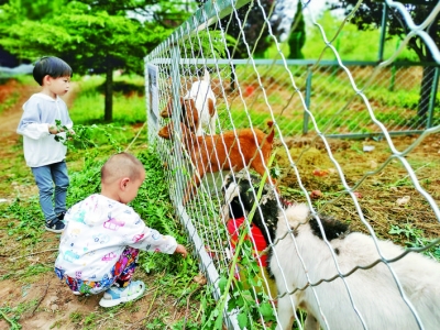 平陆风口桃花源主题公园