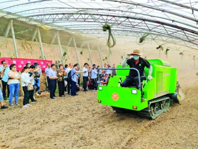 蔬菜土传病害防治配套技术及试验示范新绛县现场观摩会见闻