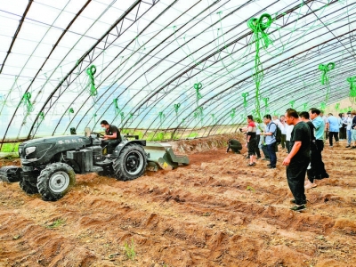 蔬菜土传病害防治配套技术及试验示范新绛县现场观摩会见闻