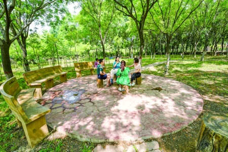 垣曲舜乡城郊森林公园