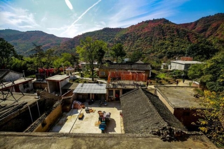 马泉沟红叶柿子映天红