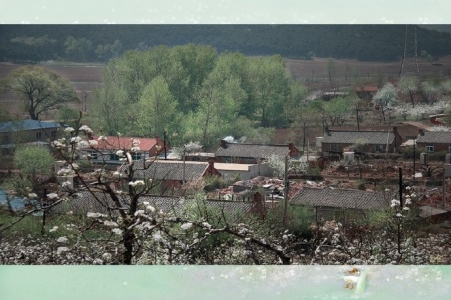 消逝的马泉沟村（四）——最后的记忆
