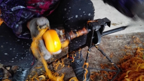 马泉沟柿子收获的季节