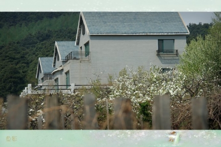 消逝的马泉沟村（四）——最后的记忆