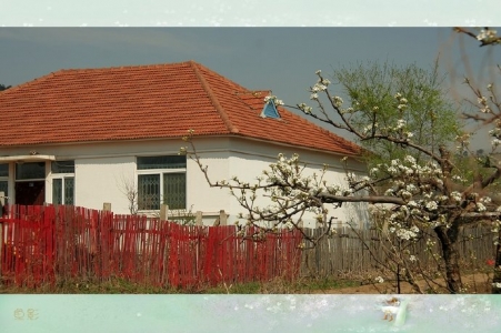 消逝的马泉沟村（四）——最后的记忆