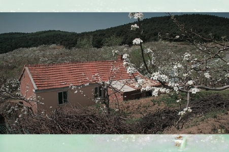 消逝的马泉沟村（四）——最后的记忆