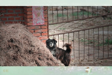 消逝的马泉沟村（四）——最后的记忆