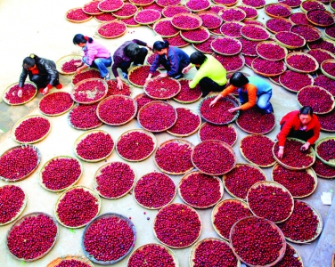 麻花饼子鸡蛋枣——稷山四宝