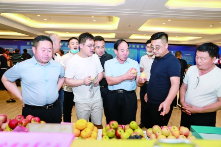 运城市早熟水果卖到了北京