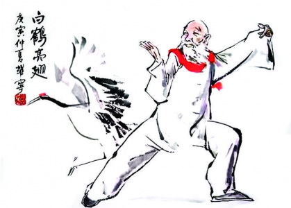 白鹤亮翅——张耀宁体育漫画作品