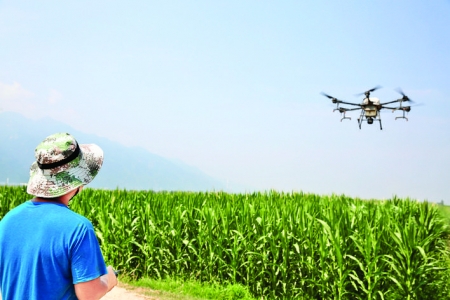 永济农民用无人机为玉米打药