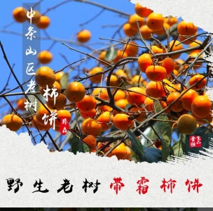 老树柿饼，中条山农家原产柿子饼就是这么好吃！