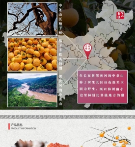 老树柿饼，中条山农家原产柿子饼就是这么好吃！