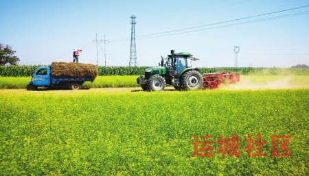 万荣县发展了10万亩道地中药材生产基地