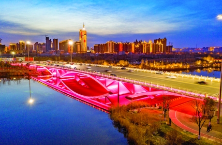 飞雁凌空（运城禹都公园）_河东八景（六）