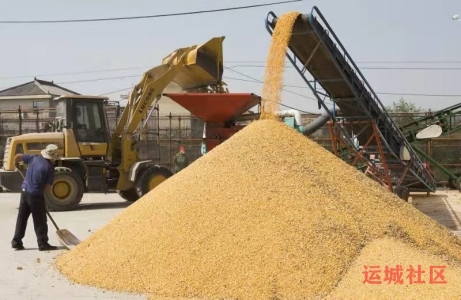 万荣里望乡土地托管合作社趟出了一条玉米产业发展新路径！