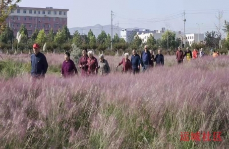 中秋游园，乐享晚年，万荣县中企联发养老服务中心的老人其乐融融