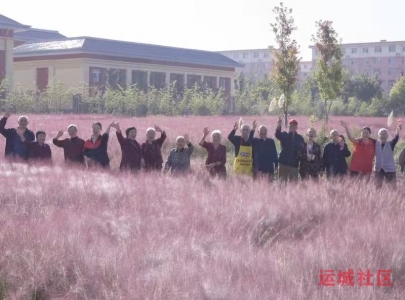 中秋游园，乐享晚年，万荣县中企联发养老服务中心的老人其乐融融