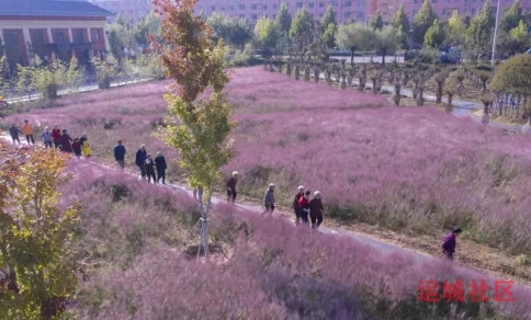 中秋游园，乐享晚年，万荣县中企联发养老服务中心的老人其乐融融
