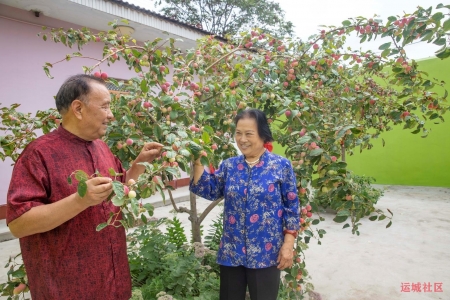 夏县妇联创建“美丽庭院”，助力乡村振兴