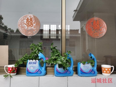 夏县妇联创建“美丽庭院”，助力乡村振兴