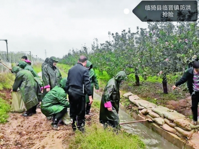 运城市防汛进入应急状态，各项抢险行动在全域范围内展开