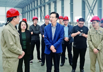 史玉江调研闻喜金属镁产业