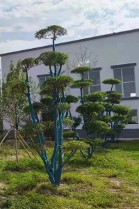 运城市城西污水处理厂区环境、厂容厂貌