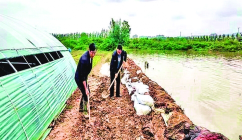 “临猗冬枣”成功申报地理标志证明商标，运城苹果有一响亮品牌