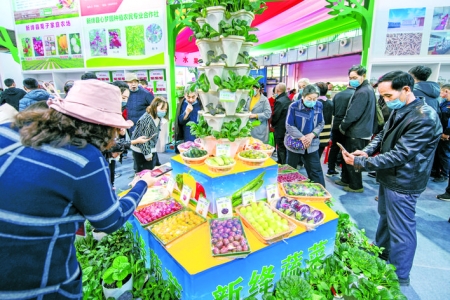 “临猗冬枣”成功申报地理标志证明商标，运城苹果有一响亮品牌