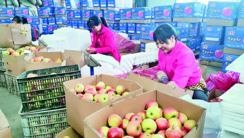 1月至7月，运城果品出口13.5万吨，货值17078万美元