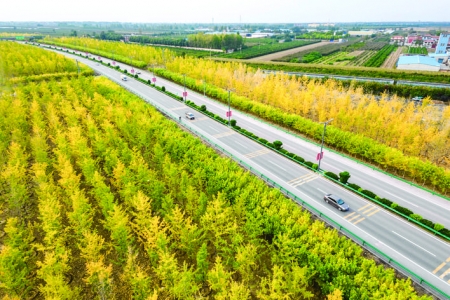 运风高速公路运城西出入口附近秋景