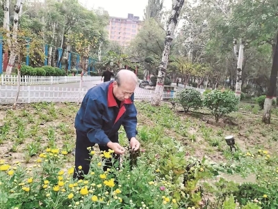 运城人民公园保持园容园貌，修剪整治绿植花草