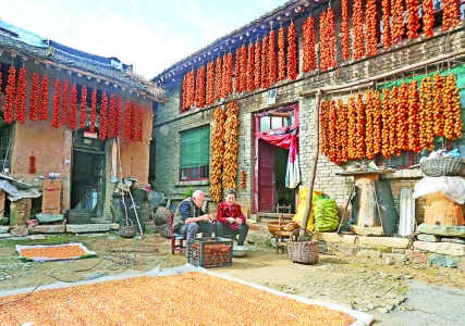 望仙村加工柿饼可增加收入50多万元