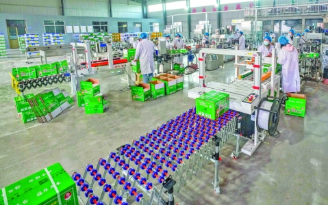 夏县山西瑶台生物科技有限公司消毒剂、专用肥生产线项目巡礼