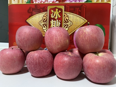 转发领红包！万荣苹果，电视主播家的苹果，嘎嘣脆~~