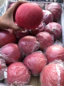 转发领红包！万荣苹果，电视主播家的苹果，嘎嘣脆~~