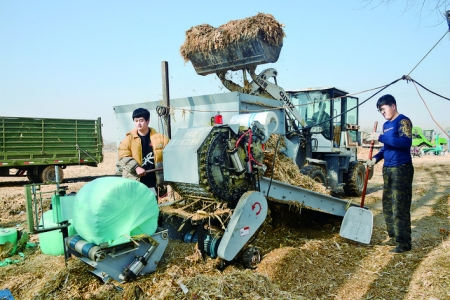 秸秆，以前不敢烧，现在不想烧，舍不得烧