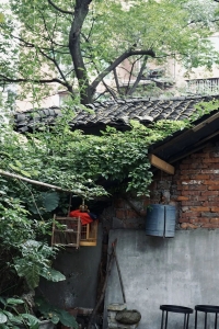 在成都有人邀你喝茶，让他领您去这个安逸的老茶馆