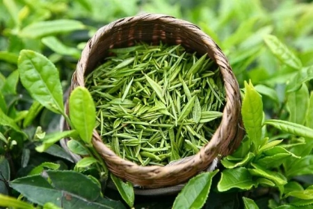 老爸喝的龙井茶，运城娃给老大卖回去了吗